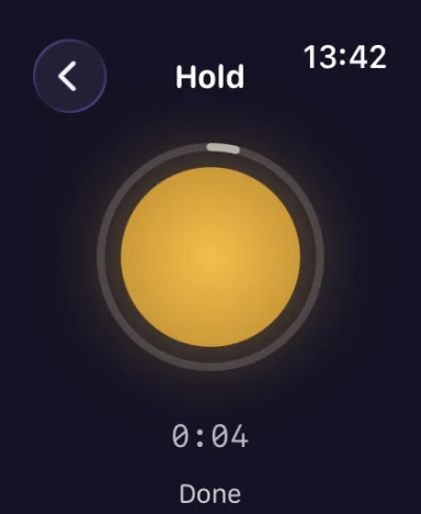 Apple Watch guided breathing timer.