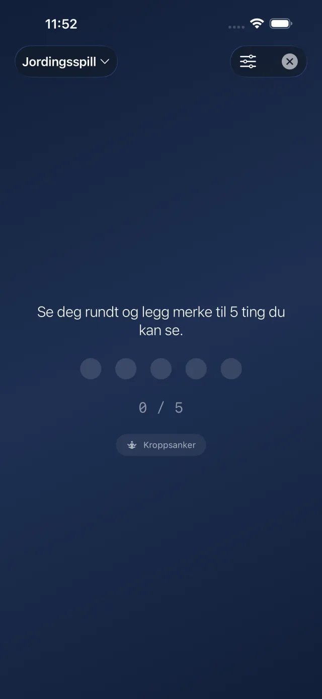 Jordingsøvelse som ber deg legge merke til fem ting du kan se.