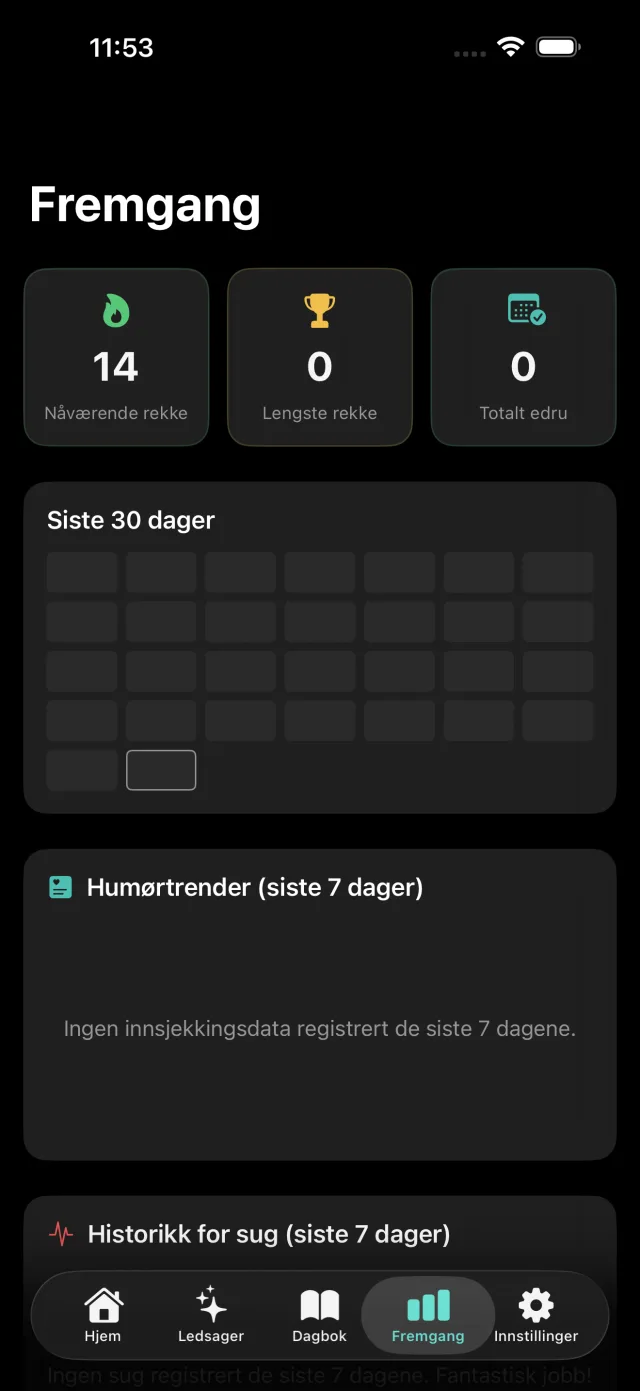 Fremgangsskjerm med nåværende rekke, lengste rekke, totale edru dager og et 30-dagers varmekart.